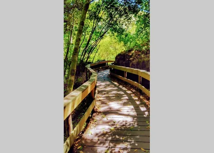 Дом отдыха Casa Da Mininha Понти-да-Барка